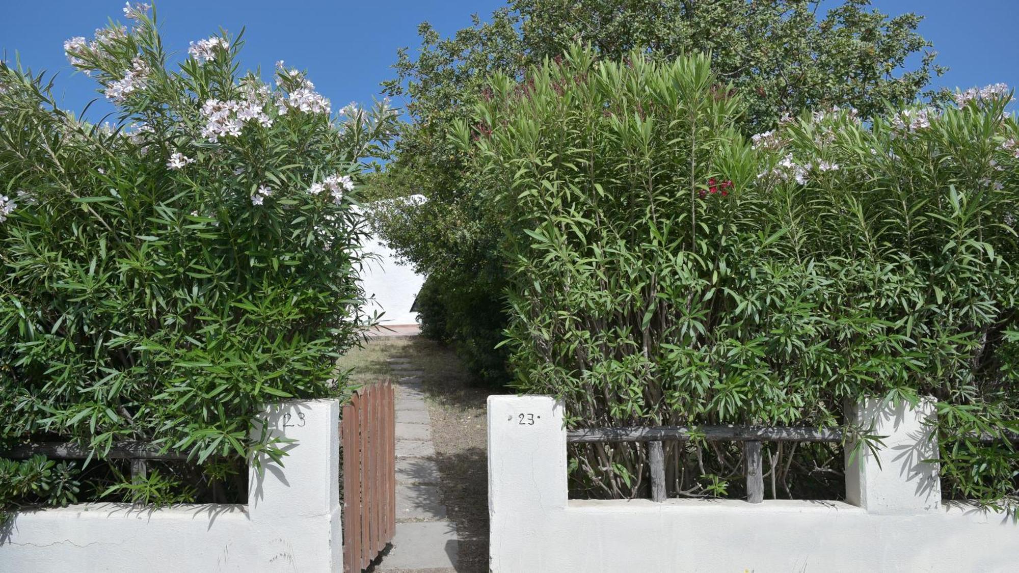 Welcomely - Villa Adele Коста Рей Екстериор снимка